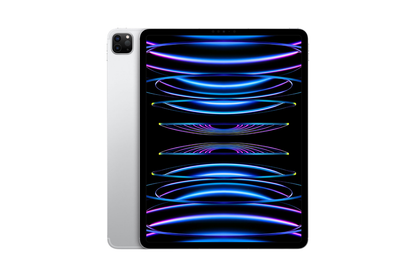 iPad Pro 11" 4th Gen Wifi-Only