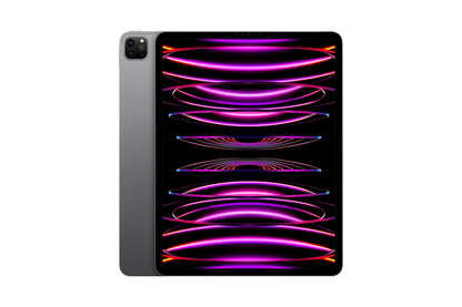 iPad Pro 11" 4th Gen Wifi-Only